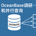 OceanBase调研-分区和并行查询
